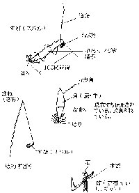 ɴ缭ŵդĮ¼ġ