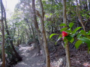 Nisaka-toge Pass Trail