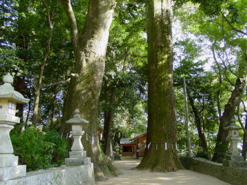 Asuka-jinja Shrine