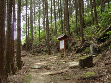 a tombstone of pilgrims