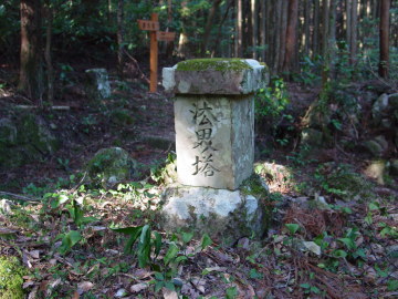 Hokai-to Buddhist Tower