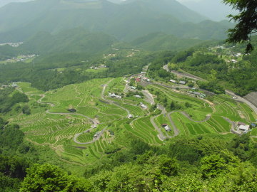 Maruyama Senmaida from viewing platform