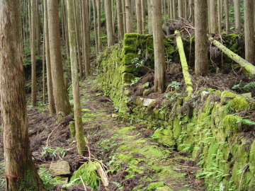 trail to Banze-toge Pass